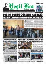 YEŞİL BOR