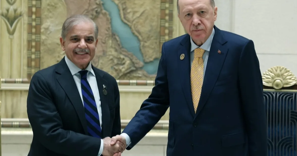 Cumhurbaşkan Erdoğan Pakistan Başbakanı ile görüştü
