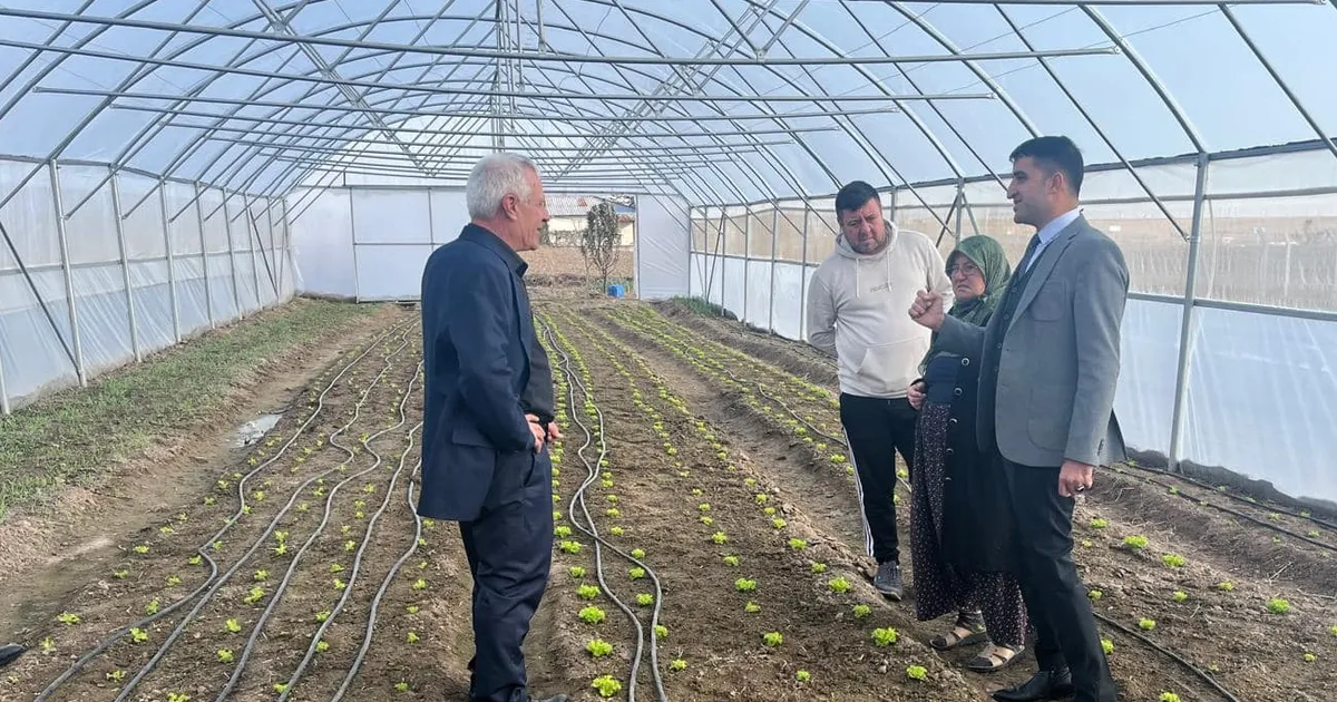 Esetçe’nin umut ışığı Meryem Teyze modern tarımla öne çıkıyor