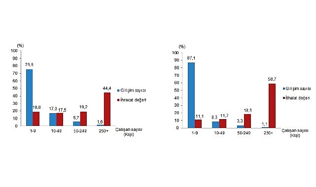 Girişim Özelliklerine Göre Dış Ticaret İstatistikleri, 2024