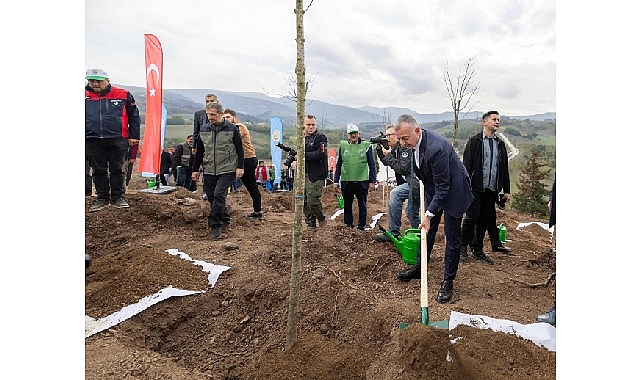 Karamürsel’de yanan bölge 3 bin fidanla yeniden yeşerecek
