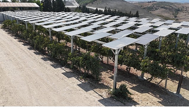 Yüzde 60 eğimli arazide ilk güneş enerjisi santrali Adana’da
