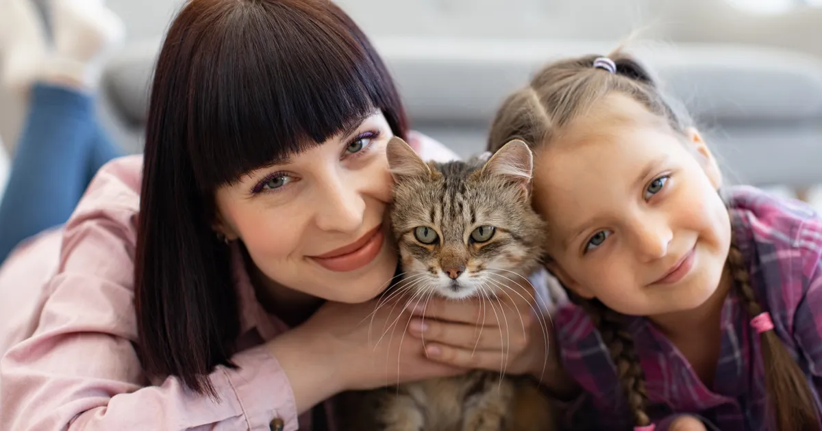 Dünyada 600 Milyondan Fazla, Türkiye’de ise Yaklaşık 10 Milyon Kedi İnsanlarla Birlikte Yaşıyor