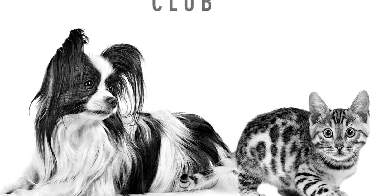 Kediler ve Köpekler İçin Sağlıklı Beslenme ve Ayrıcalıklar Tek Çatı Altında