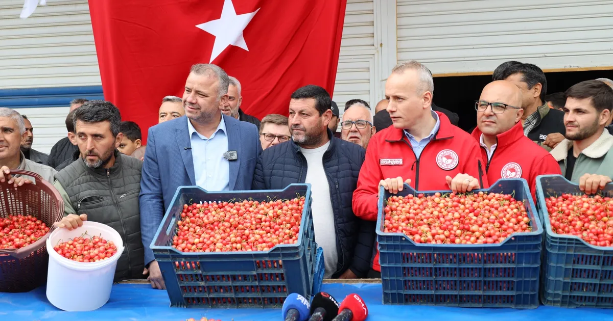 Kiraz İhracatçıları 200 Milyon Dolar İhracat Hedefiyle Sezona Girdi
